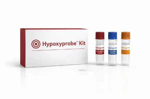 [HP10] Rat Biotin Mab