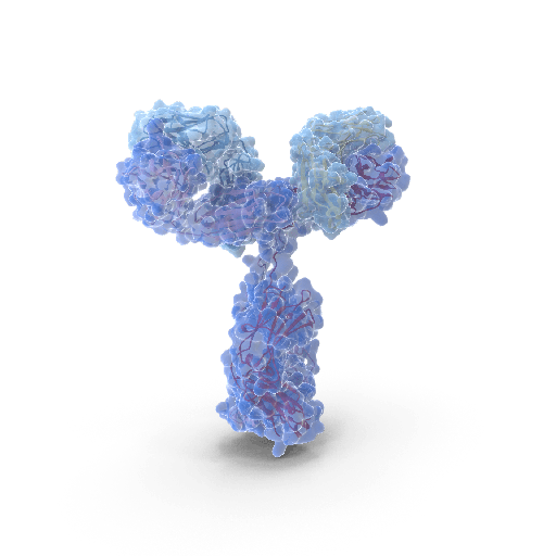 [ MFT-80A-A12] Anti-Human Alpha Fetoprotein Ab CAT# MFT-80A-A12